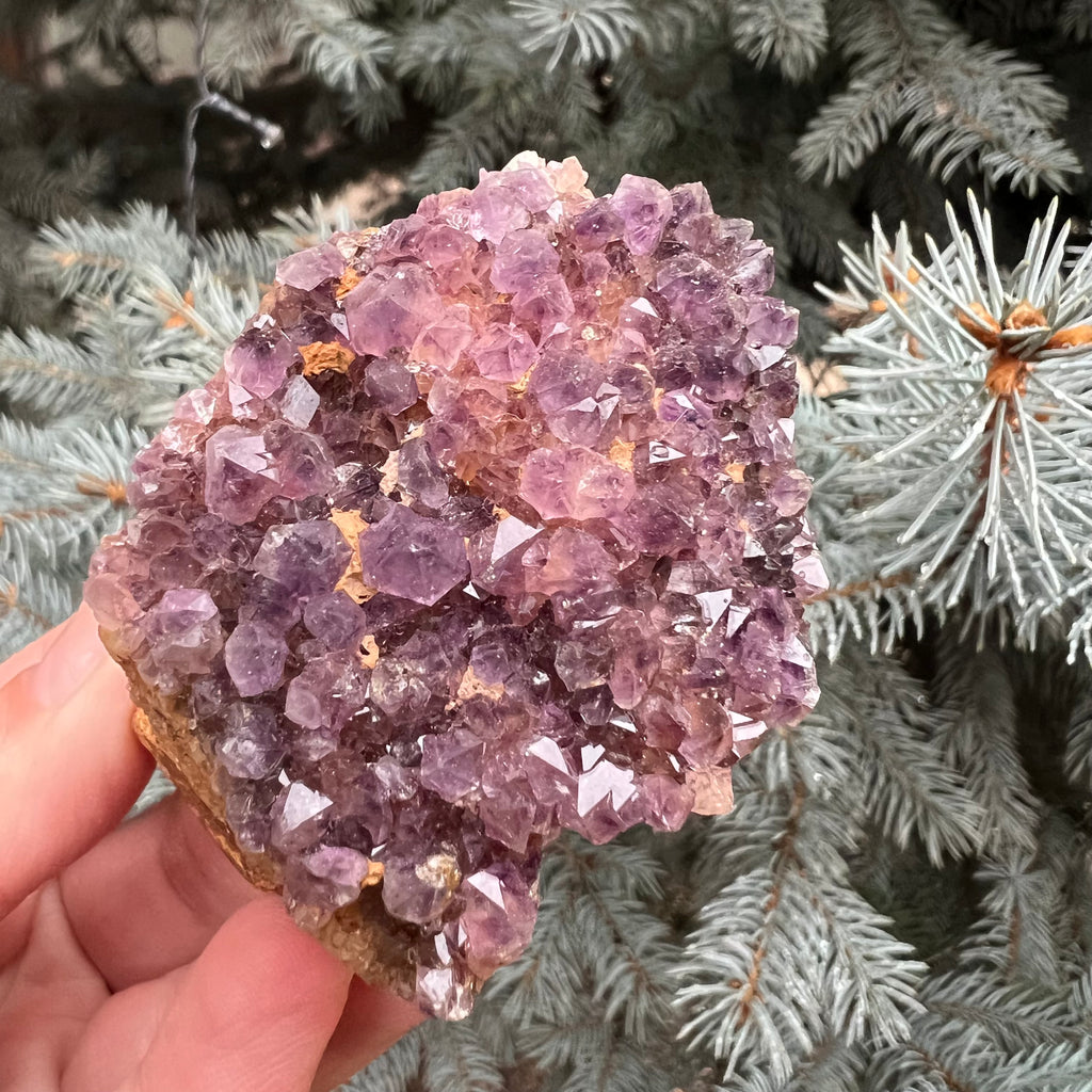 Ametist Spirit cluster Amethysos m5, druzy.ro, cristale 3