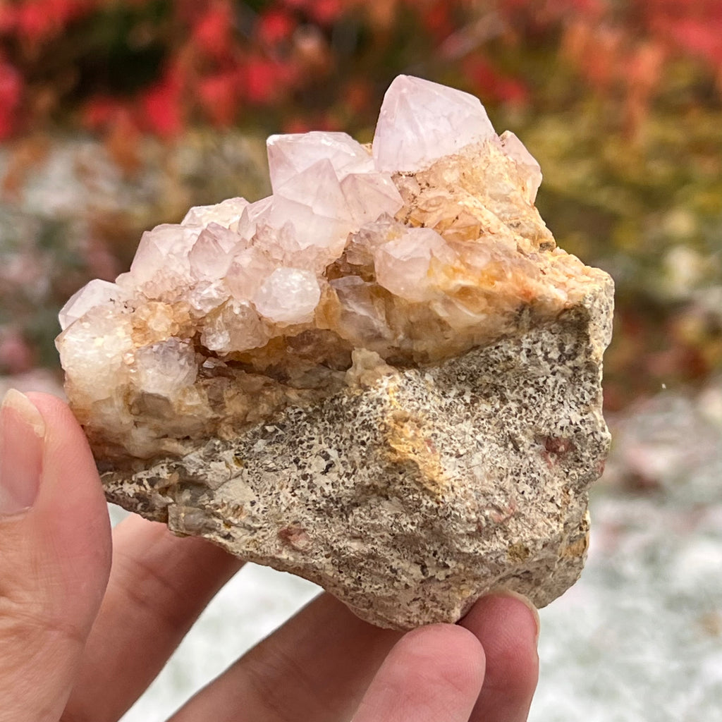 Cluster cuart cactus / cuart spirit ametist liliac model 16A, druzy.ro, cristale 6