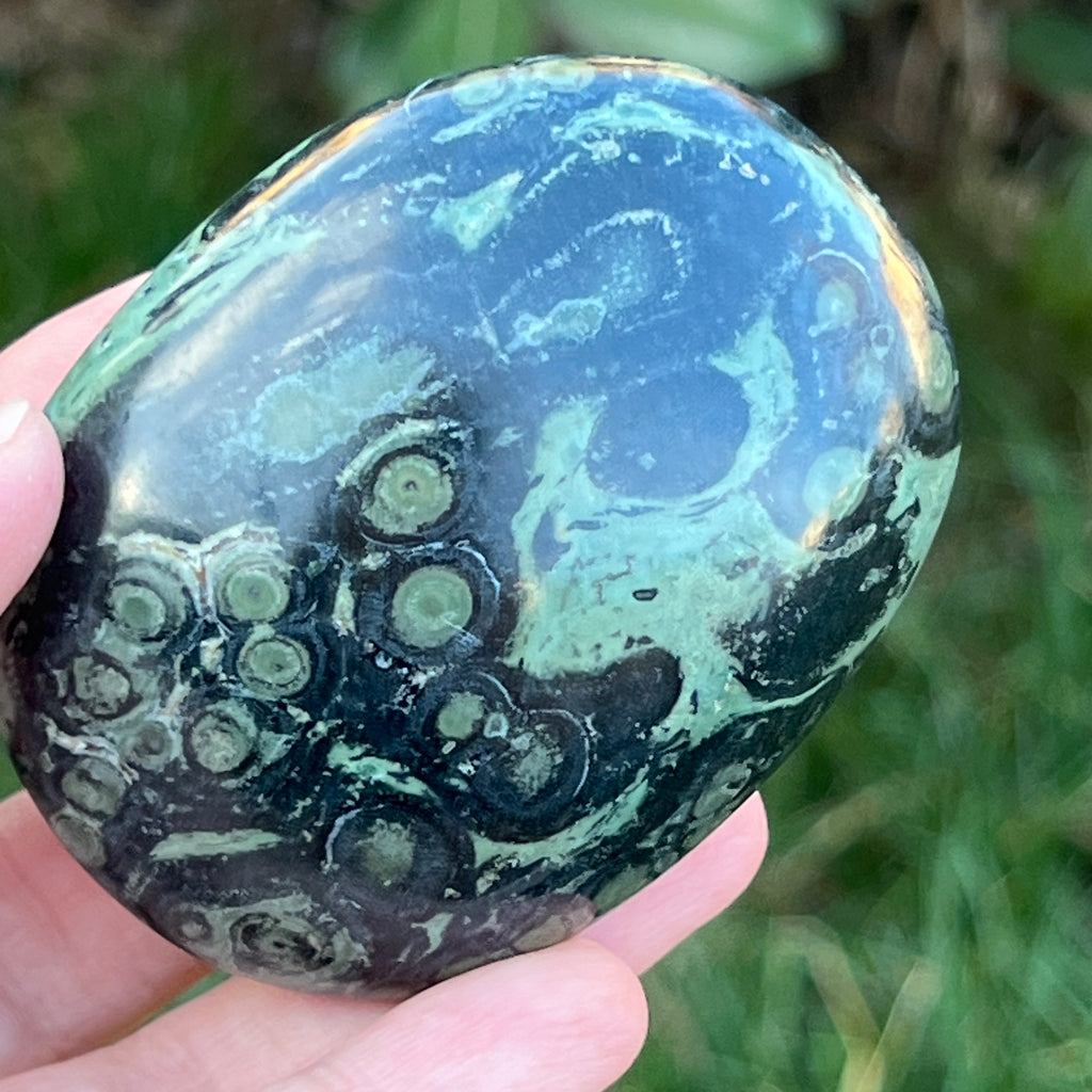 Palmstone jasp kambaba model 9, pietre semipretioase - druzy.ro 4 