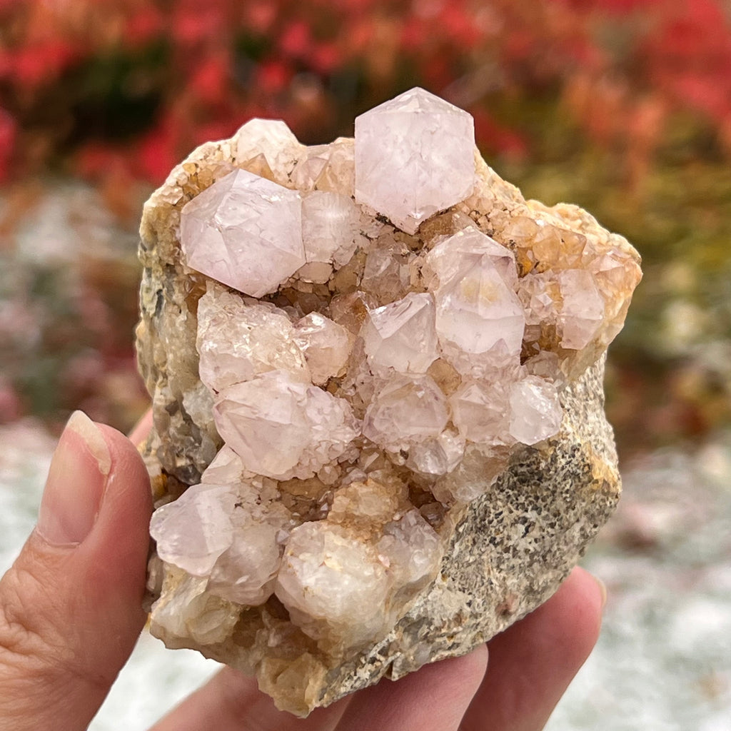 Cluster cuart cactus / cuart spirit ametist liliac model 16A, druzy.ro, cristale 4