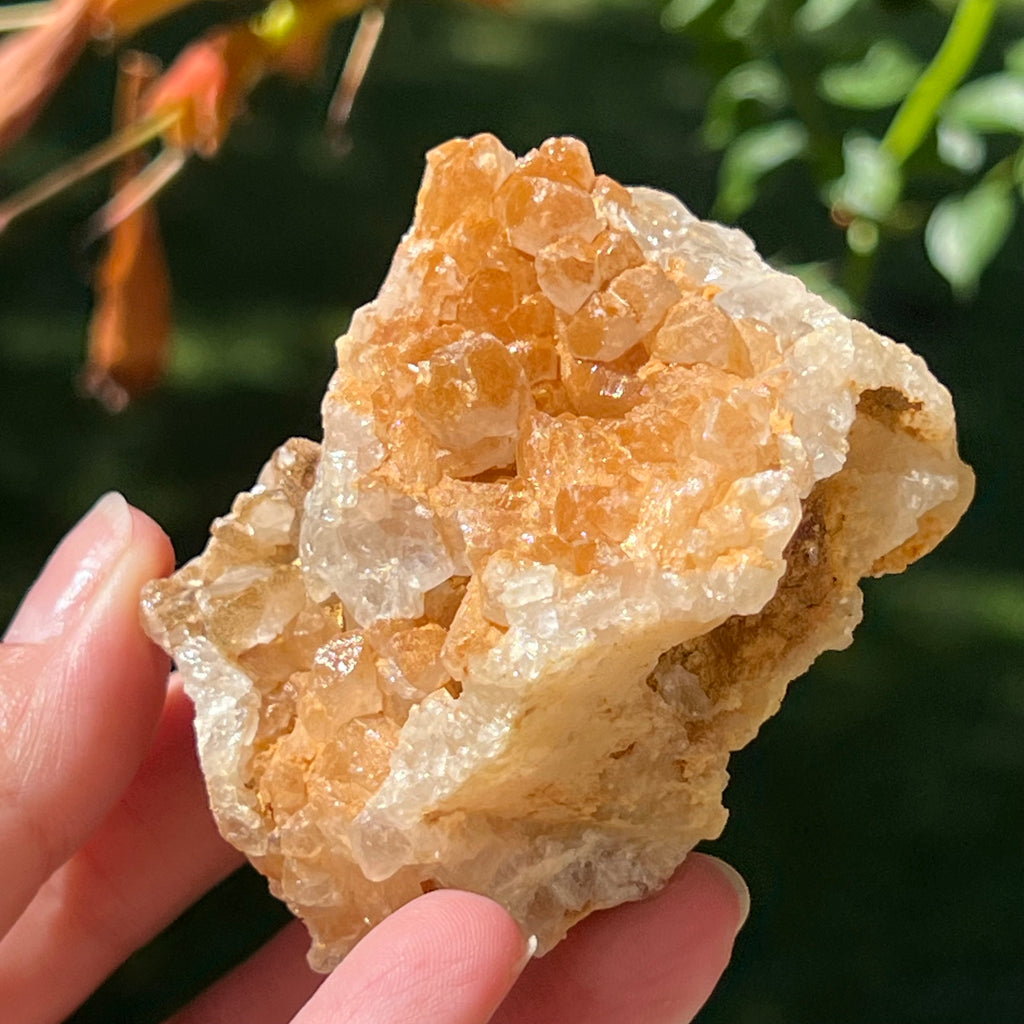Cluster cuart lamaie Zambia, golden healer model Lm12, pietre semipretioase - druzy.ro 2