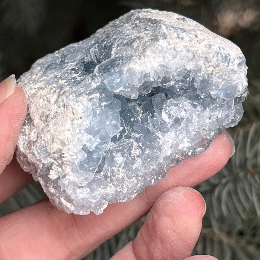 Celestit / celestina cluster m7, pietre semipretioase - druzy.ro 1 