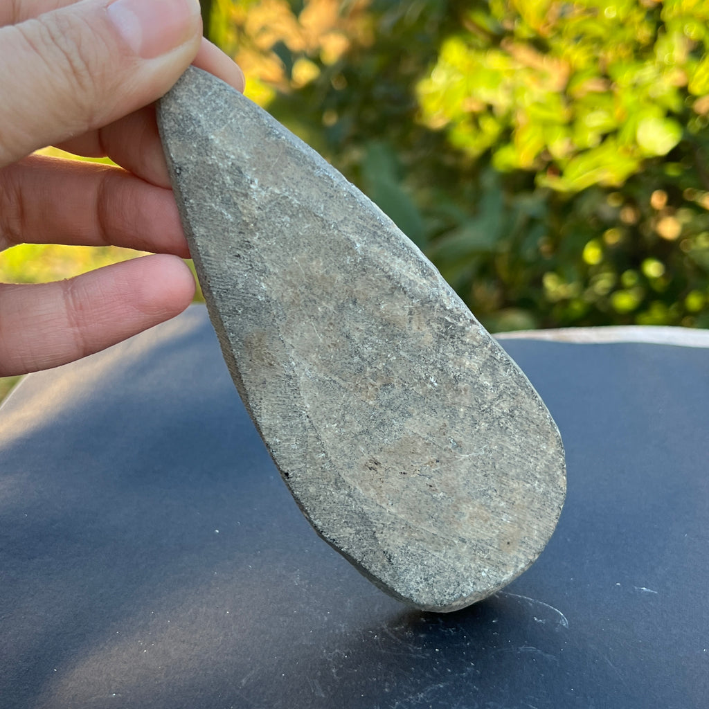 Fosil Orthoceras model 9, pietre semipretioase - druzy.ro 4 