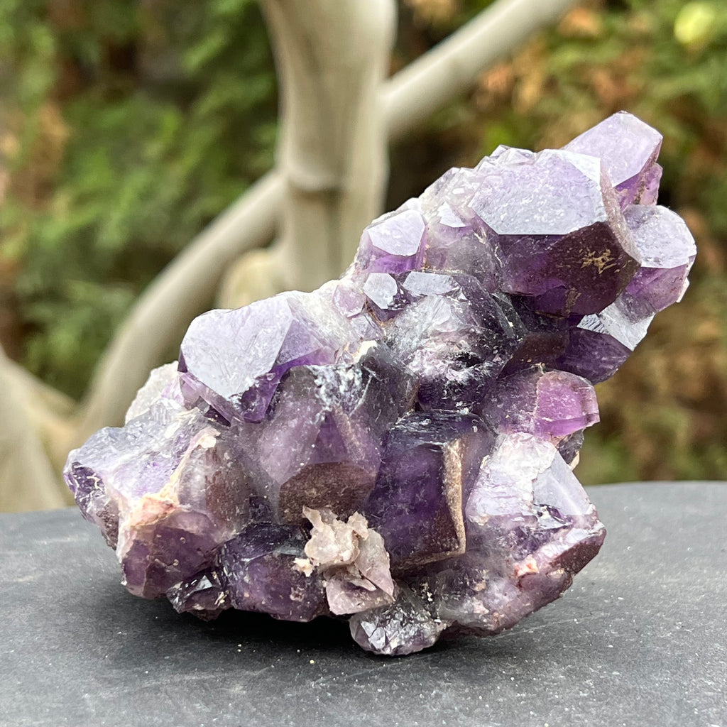 Cluster ametist crud Zambia model 4, druzy.ro, cristale 2