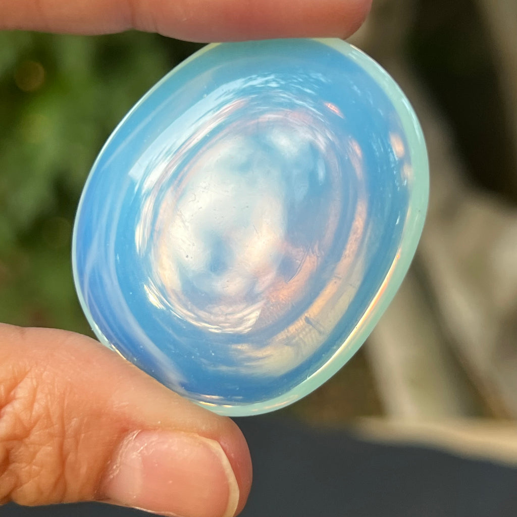Opalit palmstone 4-4.5 cm, druzy.ro, pietre semipretioase 1