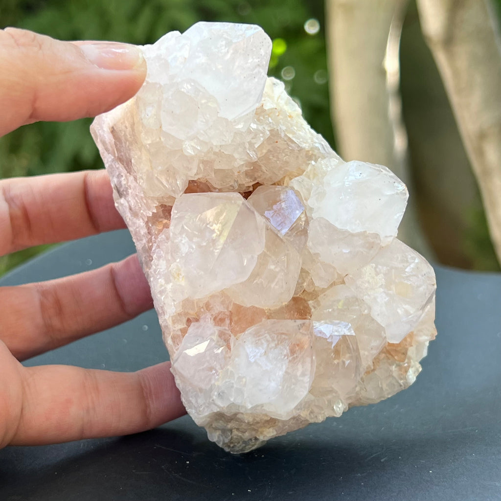 Cluster cuart cactus / cuart spirit FLOWER model F7, druzy.ro, pietre semipretioase 10