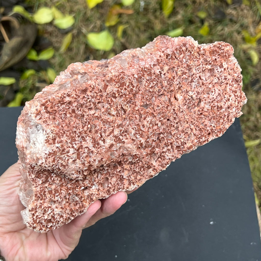 Cluster ametist sweet model 3 din Zambia, druzy.ro, cristale 5