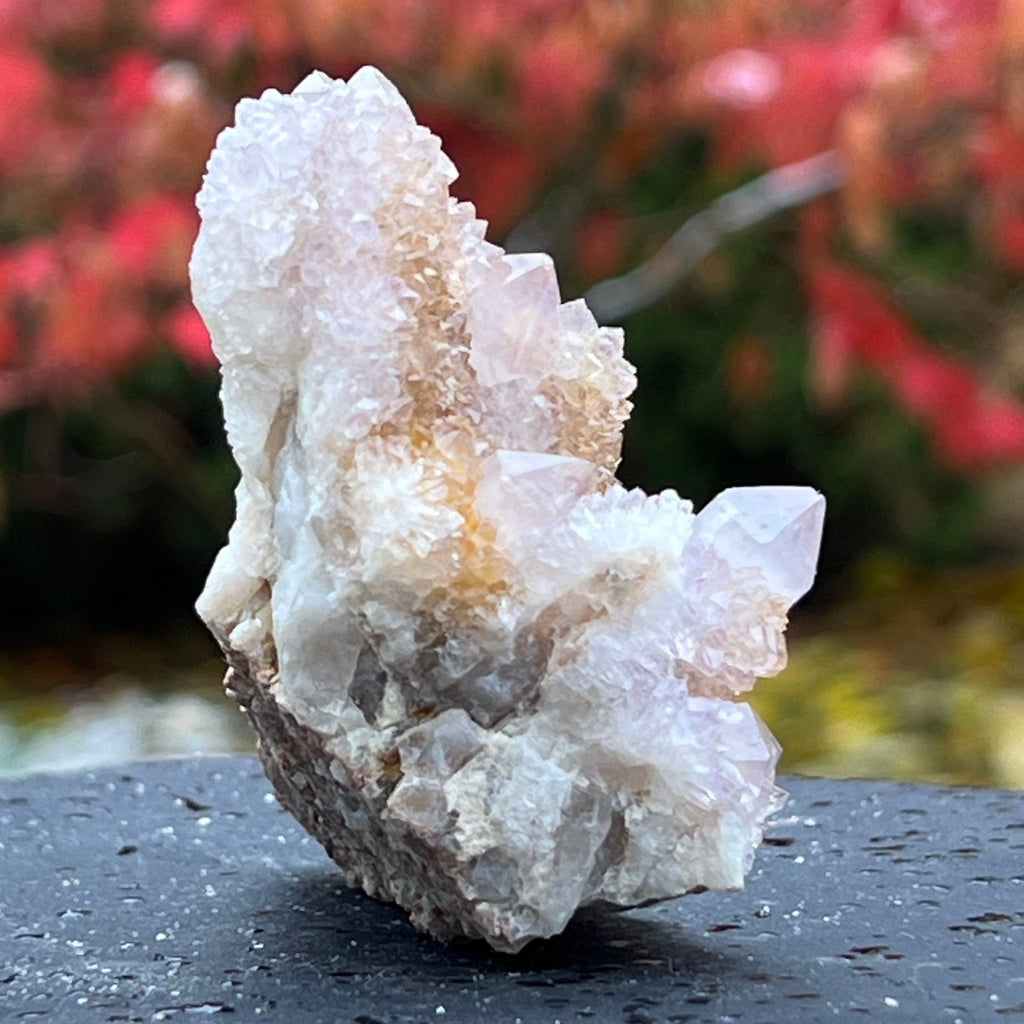 Cluster cuart cactus / cuart spirit ametist liliac model 21A, druzy.ro, cristale 2