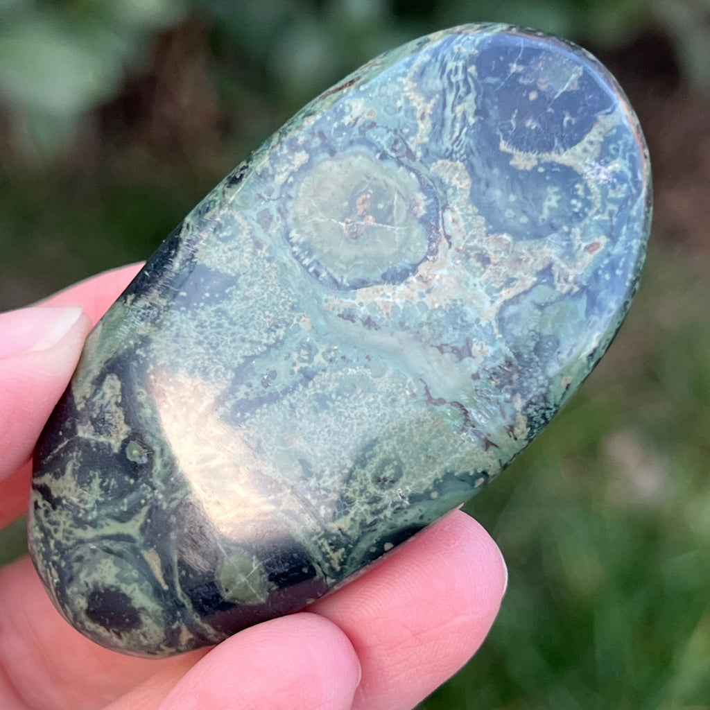 Palmstone jasp kambaba model 1, pietre semipretioase - druzy.ro 5 