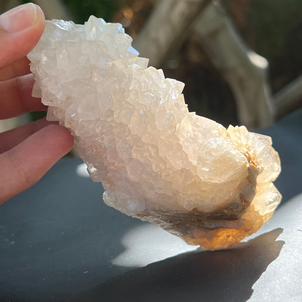 Cluster cuart cactus / cuart spirit FLOWER model F5, druzy.ro, pietre semipretioase 5
