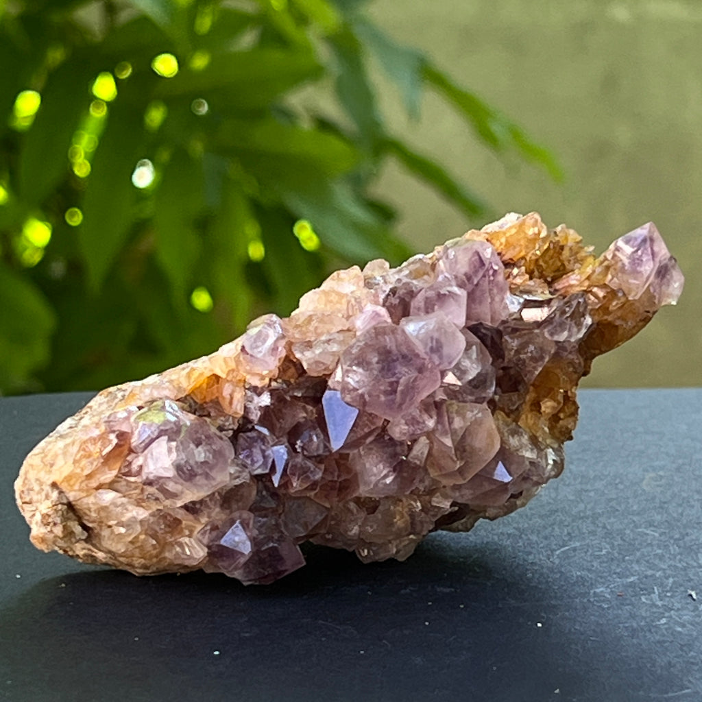 Specimen ametist cuart spirit din Africa de Sud | Model 24, pietre semipretioase - druzy.ro 1 