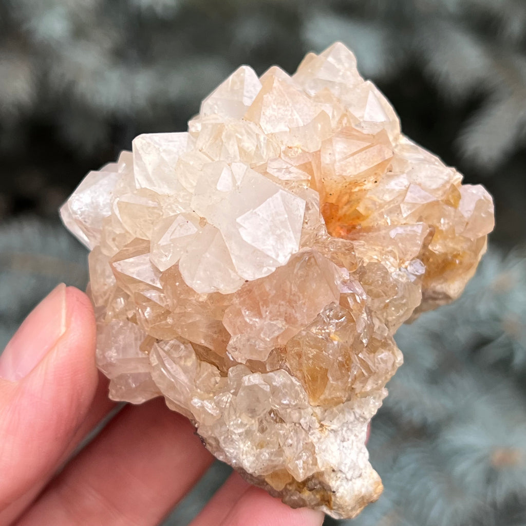 Cluster cuart cactus / cuart spirit model 41, druzy.ro, cristale 1