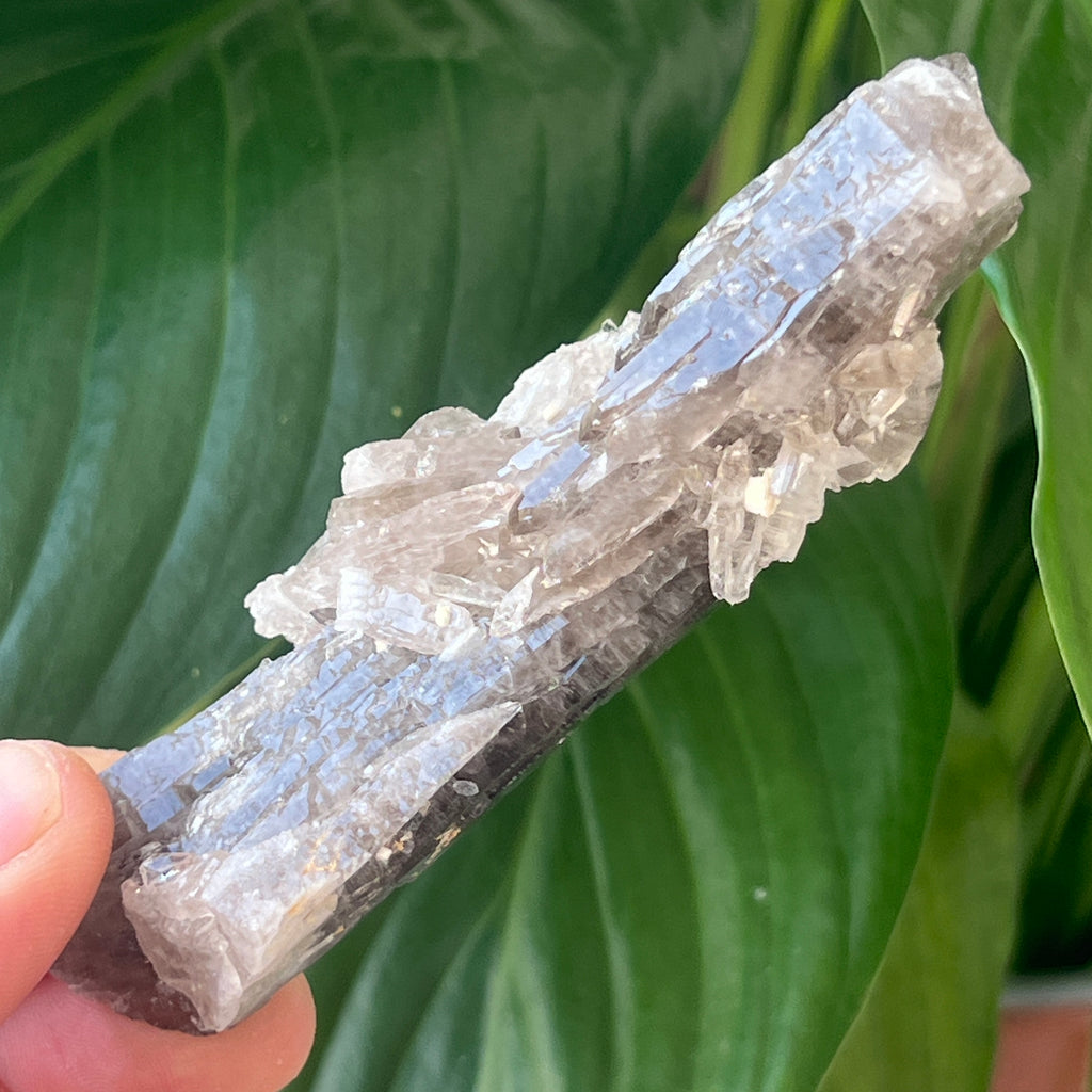 Cuart fumuriu generator/varf mina Brandberg | Model L16, pietre semipretioase - druzy.ro 3 