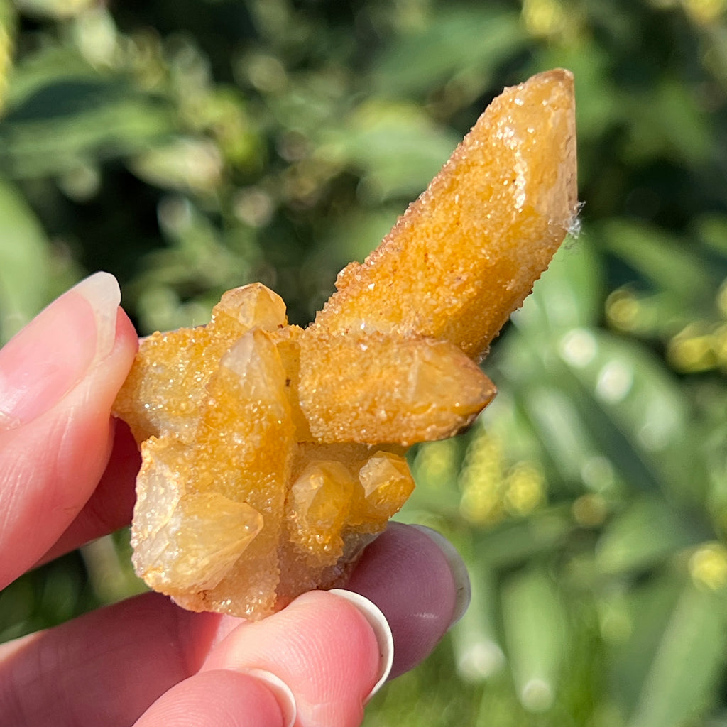 Cluster lemonit / cuart spirit solar Africa de Sud model 5, pietre semipretioase - druzy.ro 1 