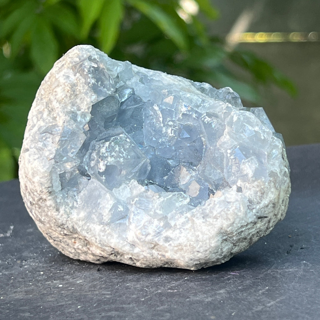 Celestit / celestina cluster m16, pietre semipretioase - druzy.ro 7 