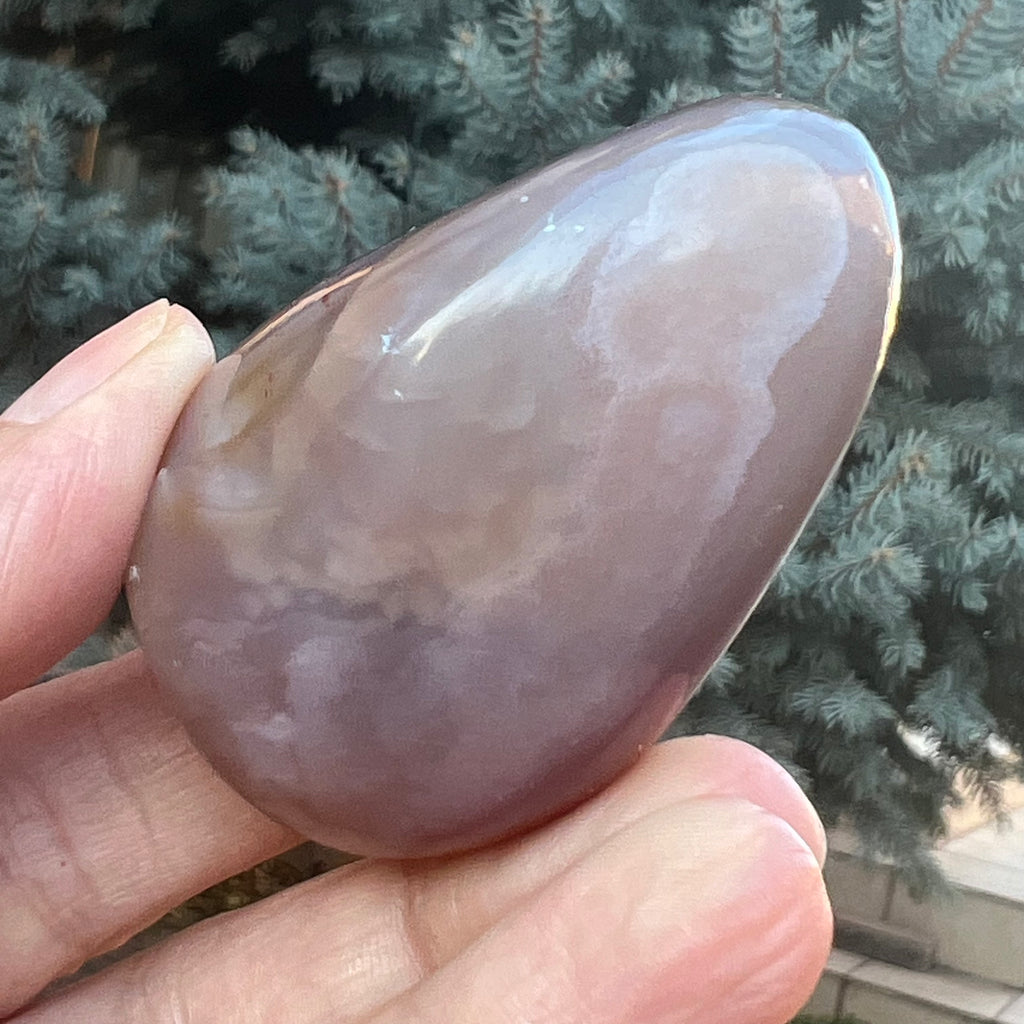 Agat de Botswana palm stone m5A, druzy.ro, cristale 4