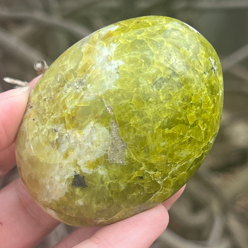 Opal verde palmstone m16, pietre semipretioase - druzy.ro 1 