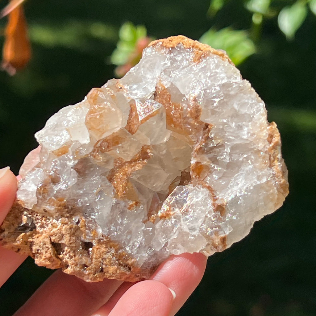 Cluster cuart lamaie Zambia, golden healer model Lm7, pietre semipretioase - druzy.ro 1