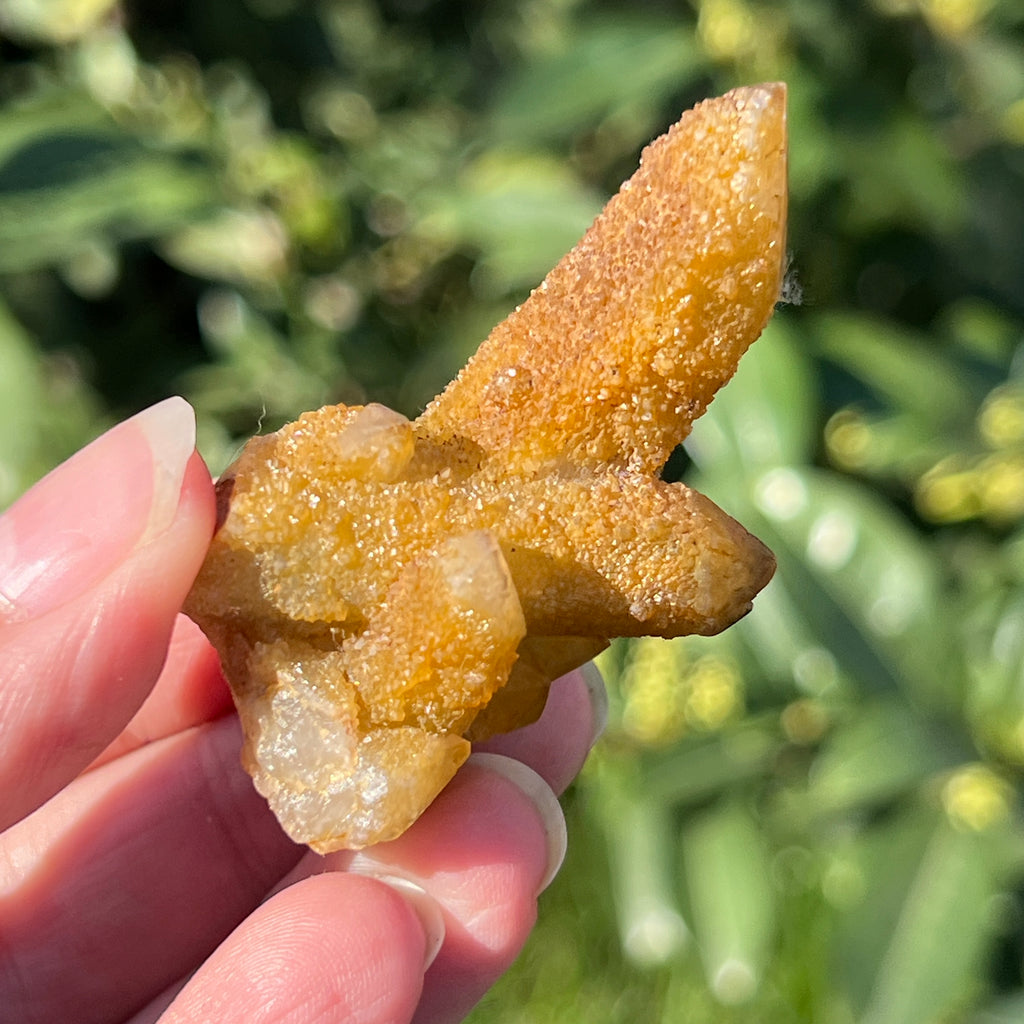 Cluster lemonit / cuart spirit solar Africa de Sud model 5, pietre semipretioase - druzy.ro 3 