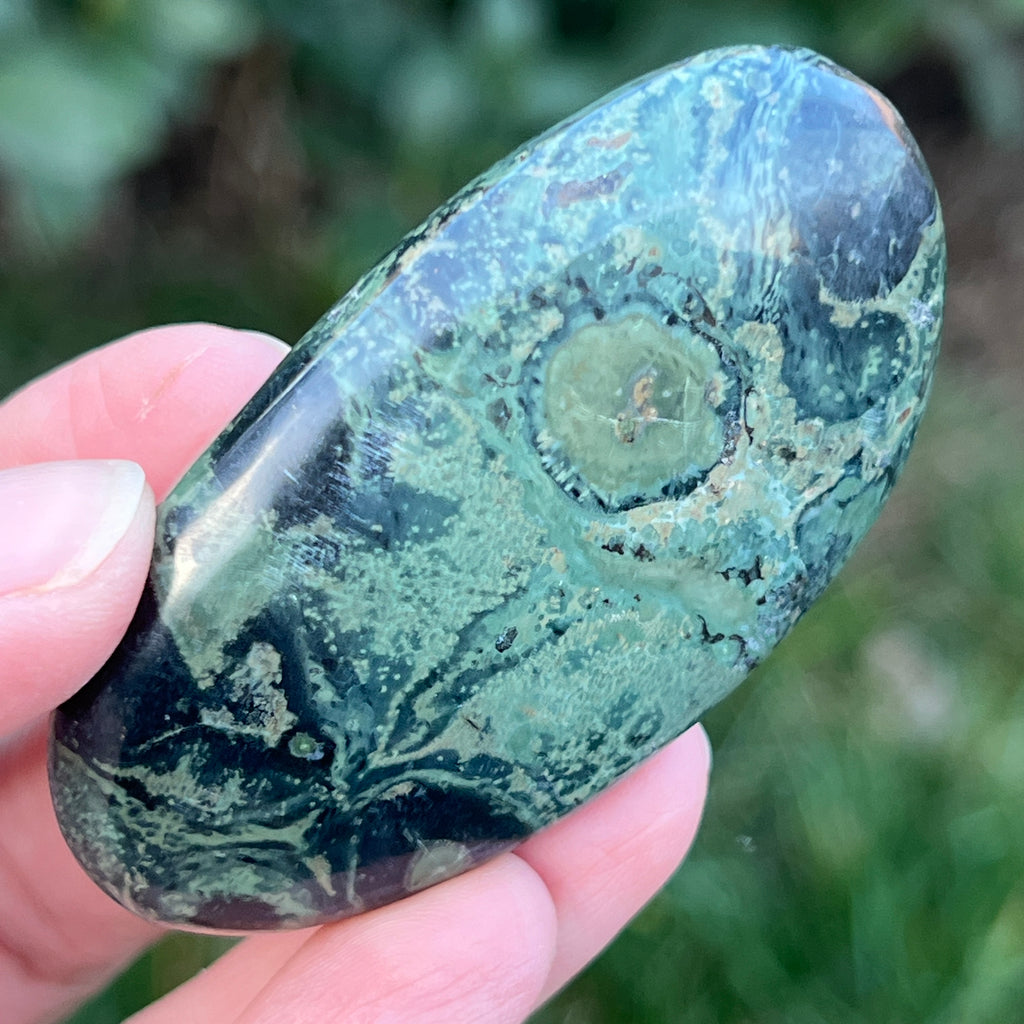 Palmstone jasp kambaba model 1, pietre semipretioase - druzy.ro 2 