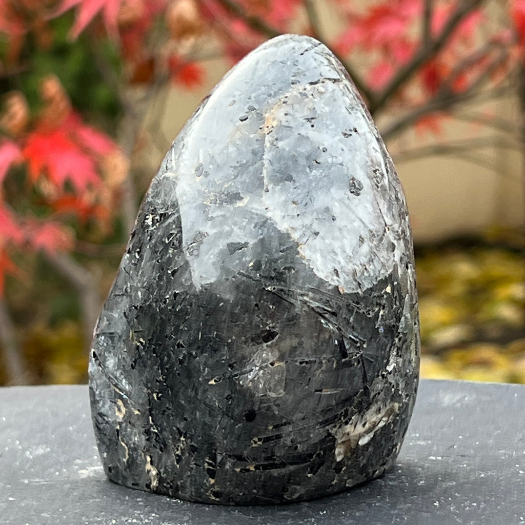 Turmalina neagra in cuart din Madagascar m2, druzy.ro, cristale 3