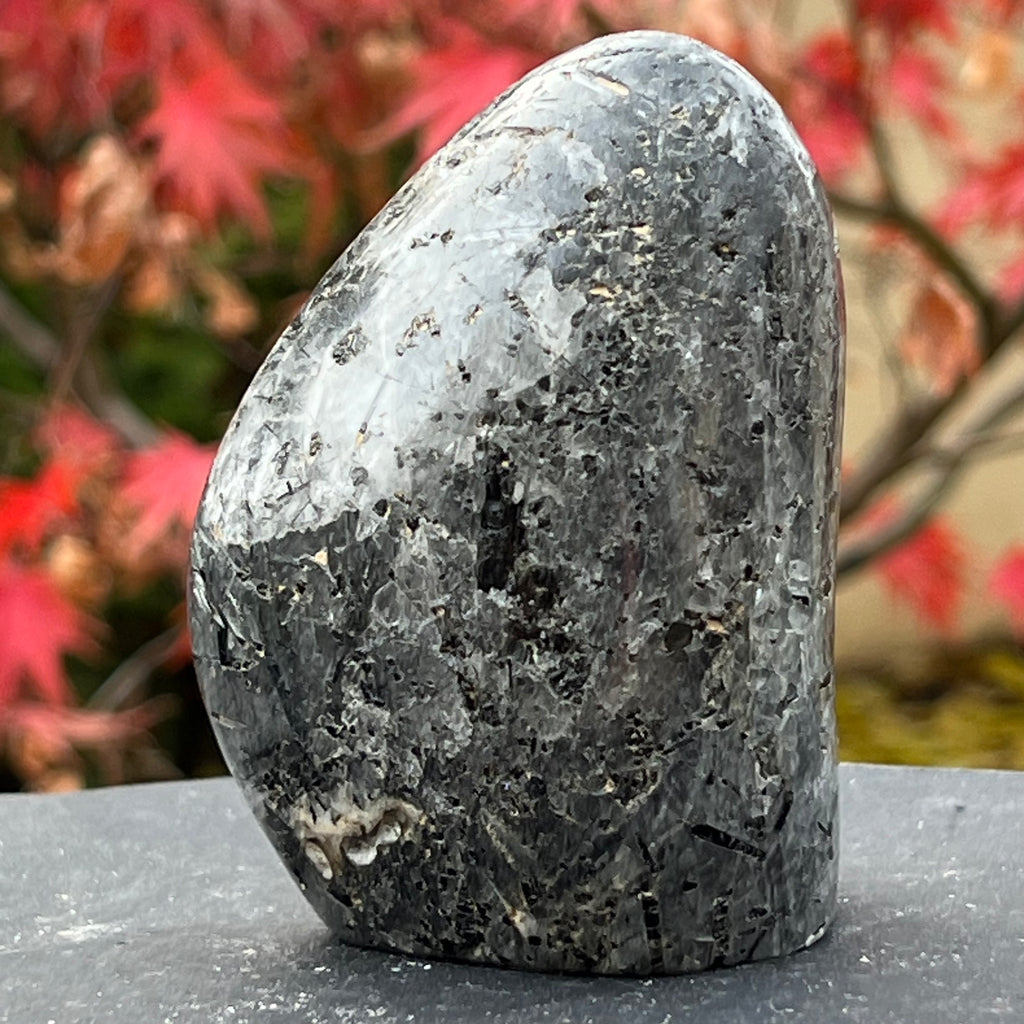 Turmalina neagra in cuart din Madagascar m2, druzy.ro, cristale 1