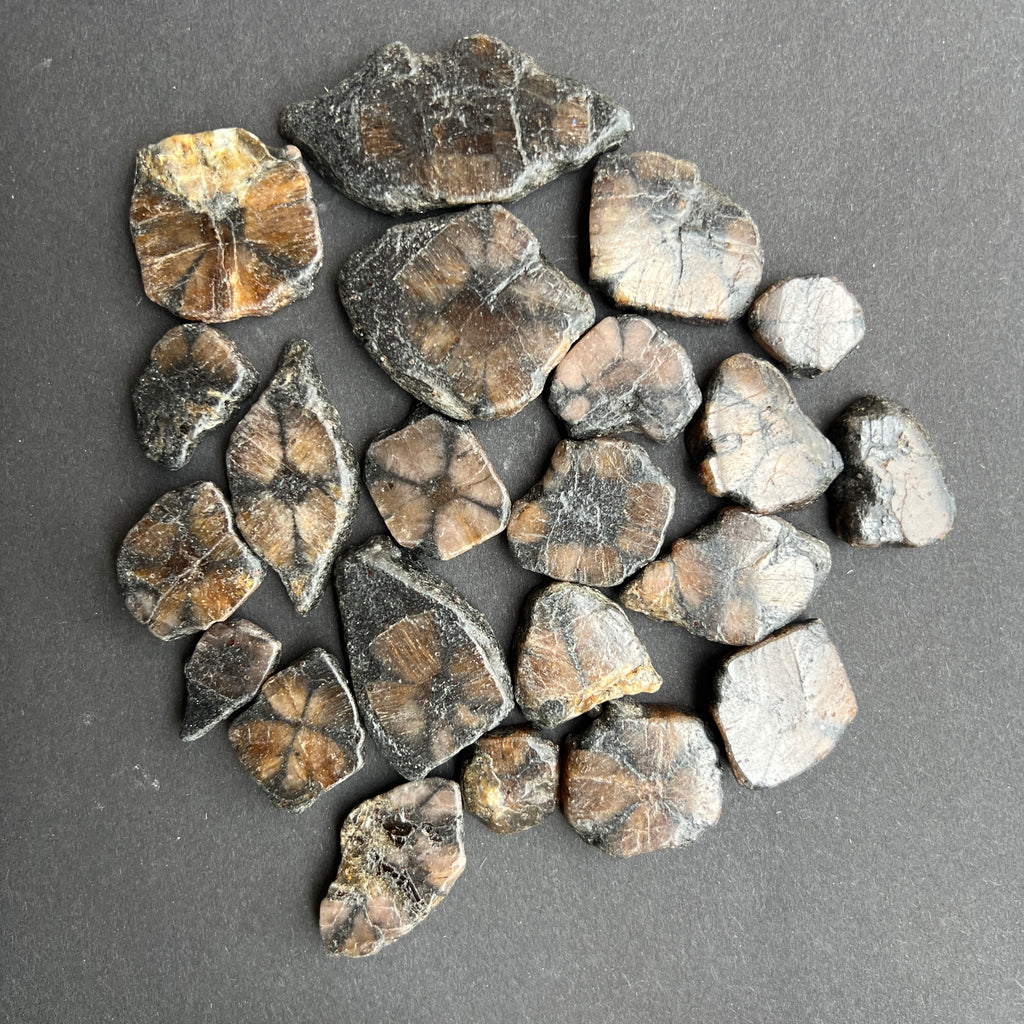 Andaluzit - Piatra Crucii -Chiastolit piatra rulata plata, pietre semipretioase - druzy.ro 2 