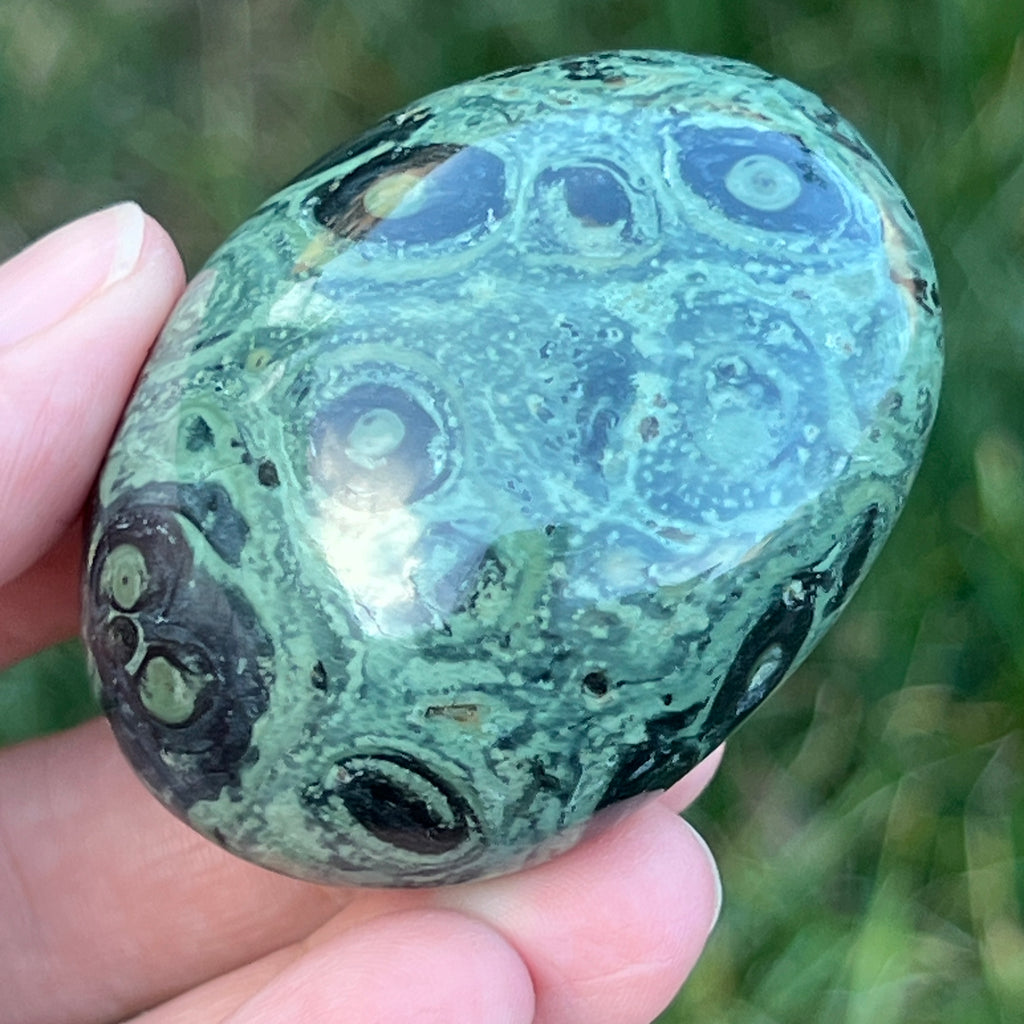 Palmstone jasp kambaba model 4, pietre semipretioase - druzy.ro 3 