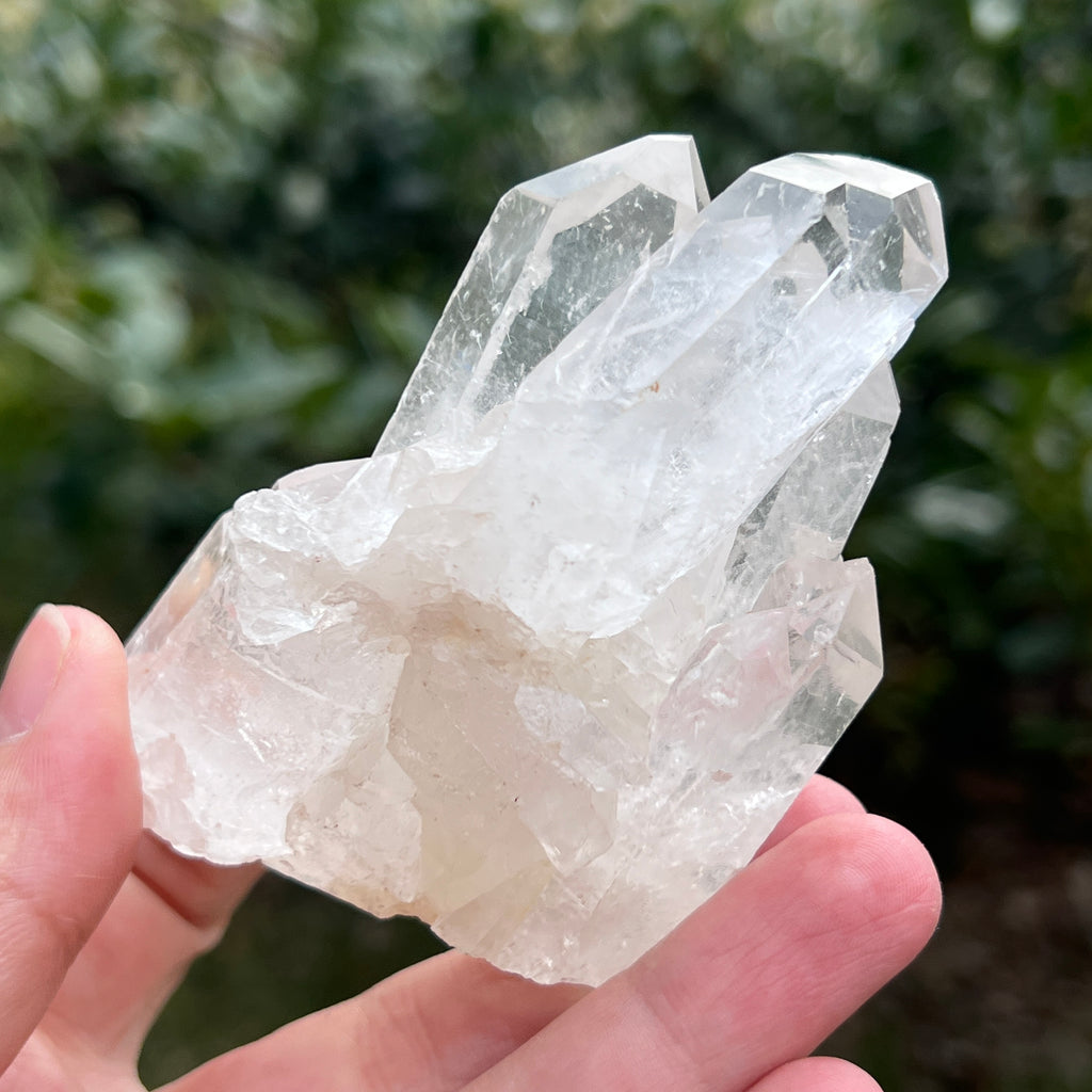 Varf cuart incolor natural, floare de mina L33, pietre semipretioase - druzy.ro 1 