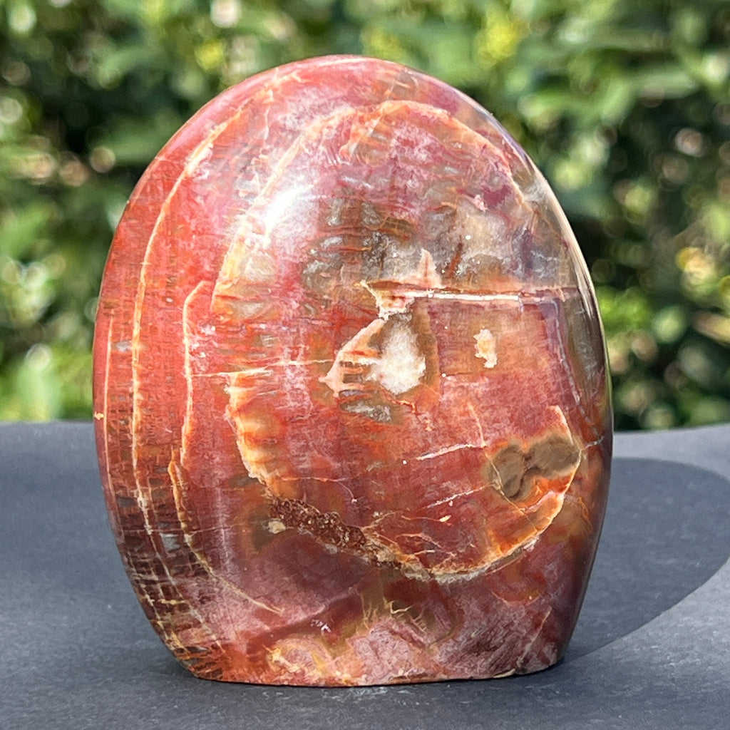 Lemn pietrificat sculptura model 4, pietre semipretioase - druzy.ro 1 