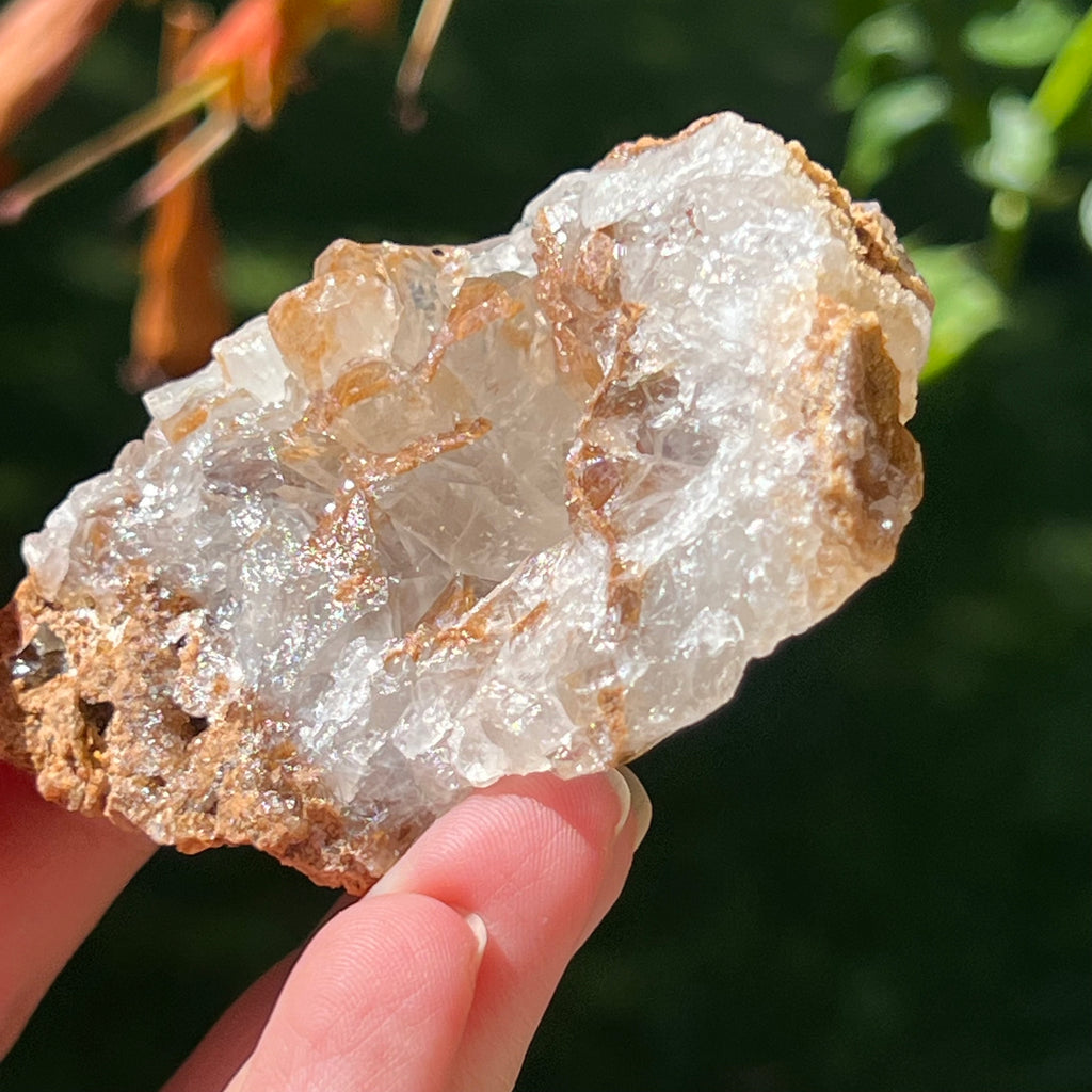 Cluster cuart lamaie Zambia, golden healer model Lm7, pietre semipretioase - druzy.ro 3