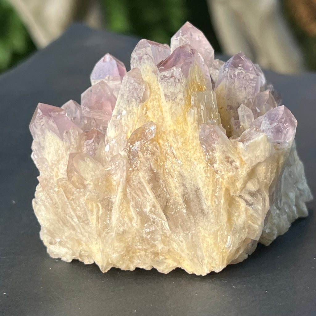 Cluster ametist sweet model 5a/3, din Zambia, pietre semipretioase - druzy.ro 7