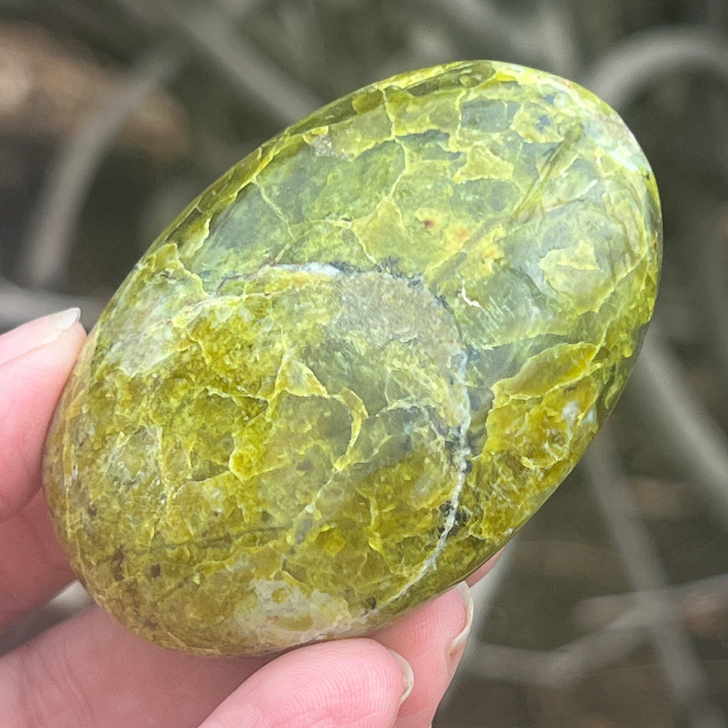 Opal verde palmstone m12, pietre semipretioase - druzy.ro 2 