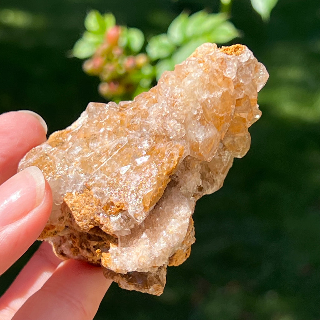 Cluster cuart lamaie Zambia, golden healer model Lm3, pietre semipretioase - druzy.ro 3