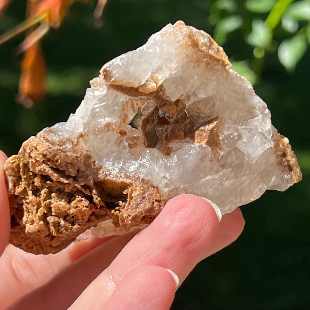 Cluster cuart lamaie Zambia, golden healer model Lm7, pietre semipretioase - druzy.ro 7