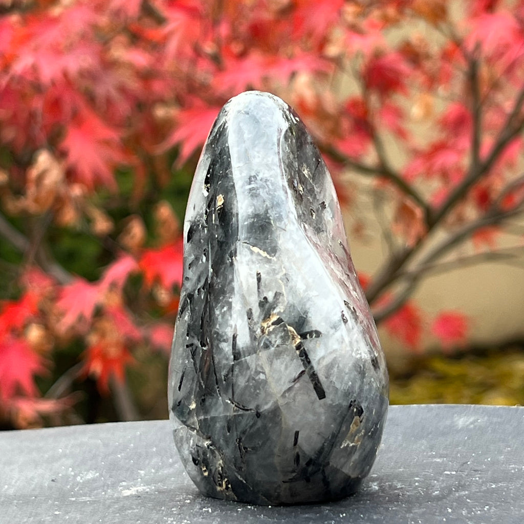 Turmalina neagra in cuart din Madagascar m4, druzy.ro, cristale 2