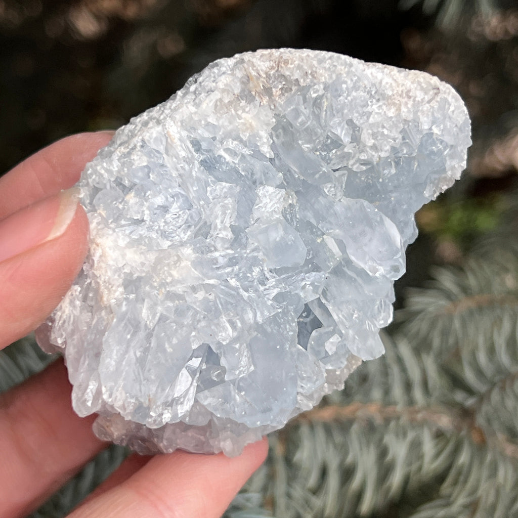 Celestit / celestina cluster m1, pietre semipretioase - druzy.ro 7 