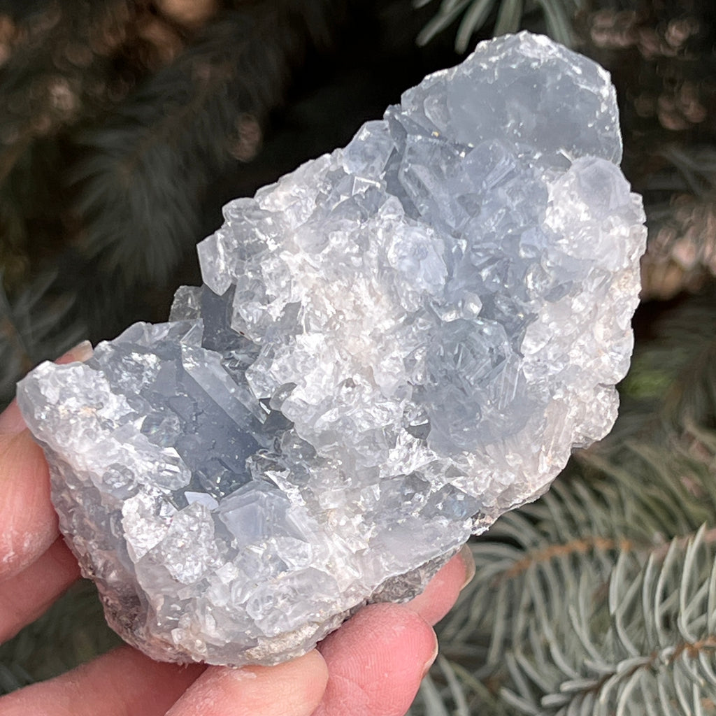 Celestit / celestina cluster m14, pietre semipretioase - druzy.ro 8 