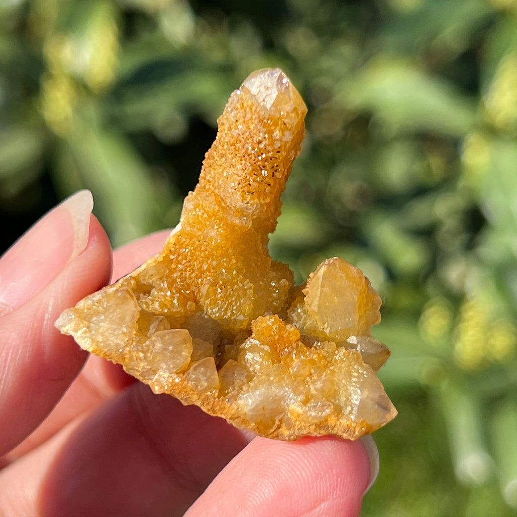 Cluster lemonit / cuart spirit solar Africa de Sud model 11, pietre semipretioase - druzy.ro 1 