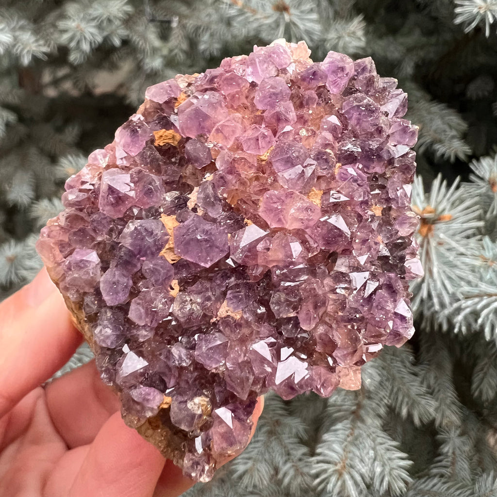 Ametist Spirit cluster Amethysos m5, druzy.ro, cristale 2