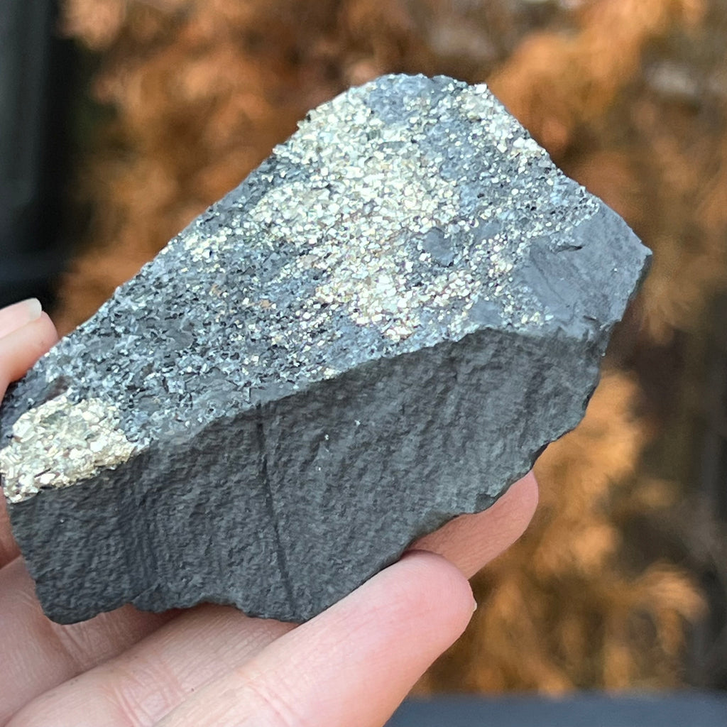 Shungit cu pirita model 8, druzy.ro, cristale 2