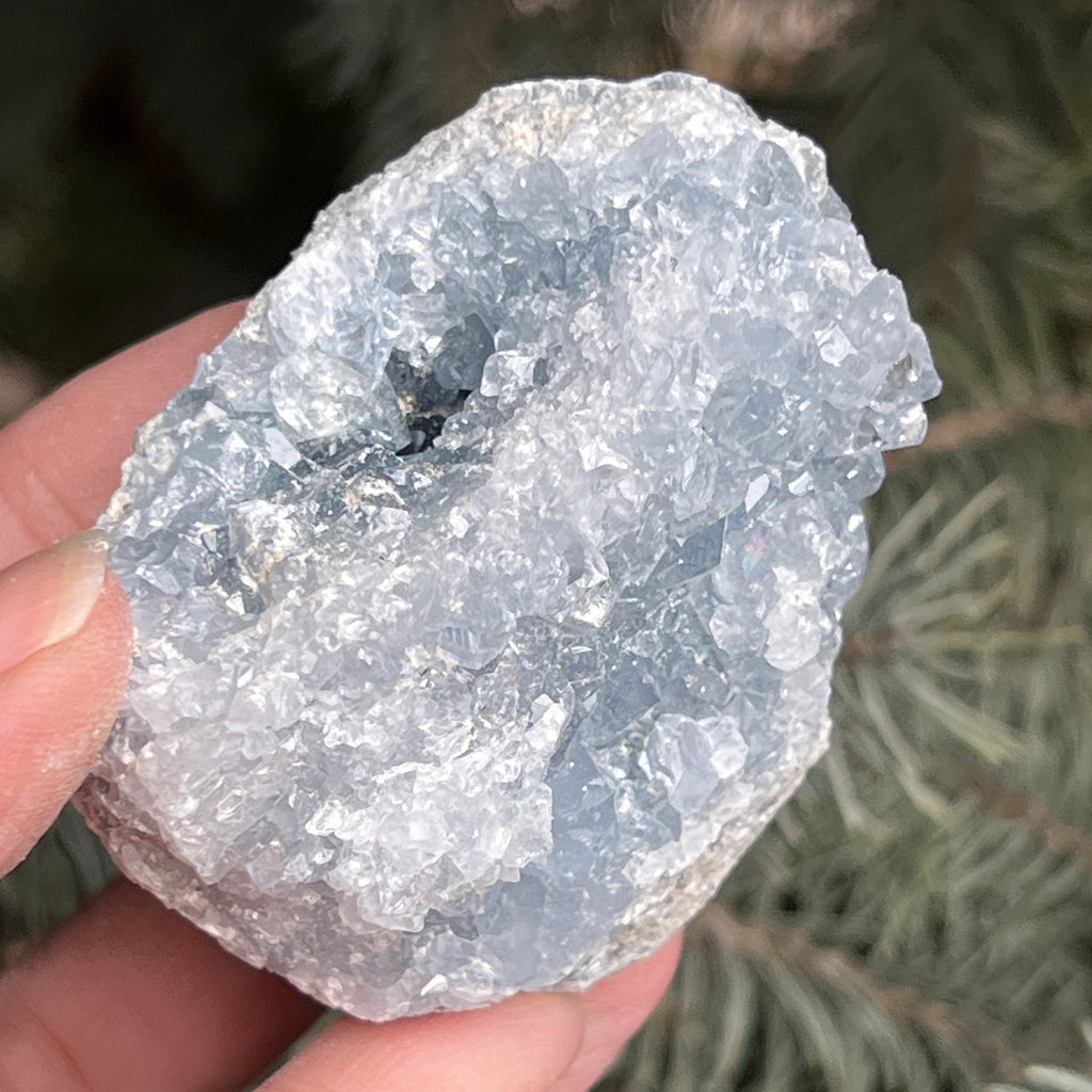 Celestit / celestina cluster m7, pietre semipretioase - druzy.ro 8 