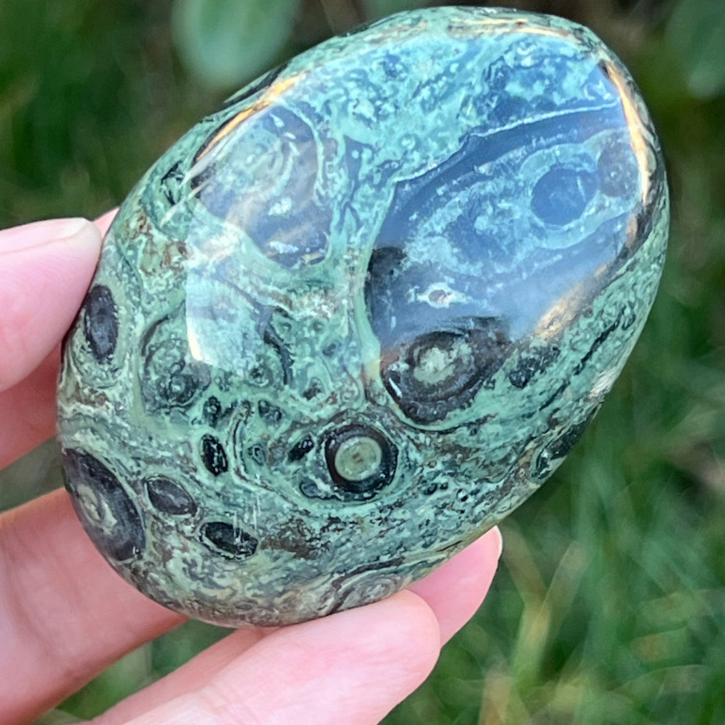 Palmstone jasp kambaba model 10, pietre semipretioase - druzy.ro 7 