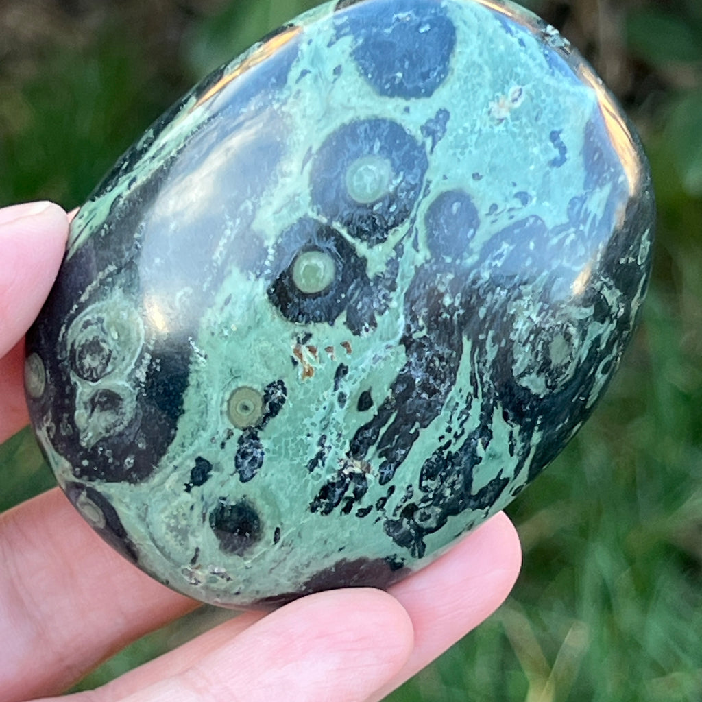 Palmstone jasp kambaba model 9, pietre semipretioase - druzy.ro 2 