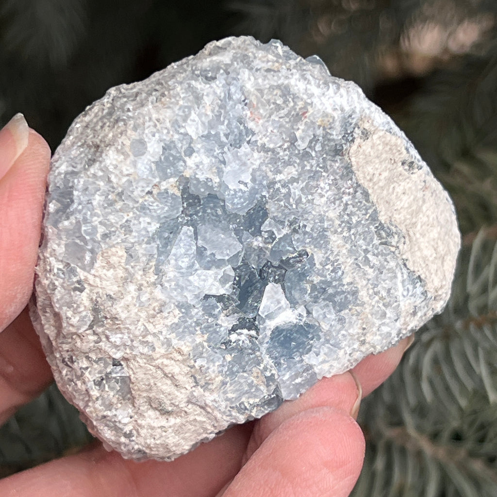 Celestit / celestina cluster m7, pietre semipretioase - druzy.ro 4 
