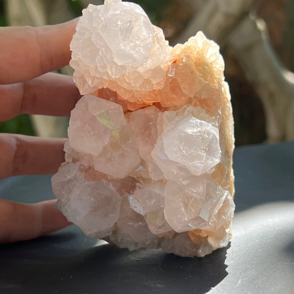 Cluster cuart cactus / cuart spirit FLOWER model F7, druzy.ro, pietre semipretioase 5