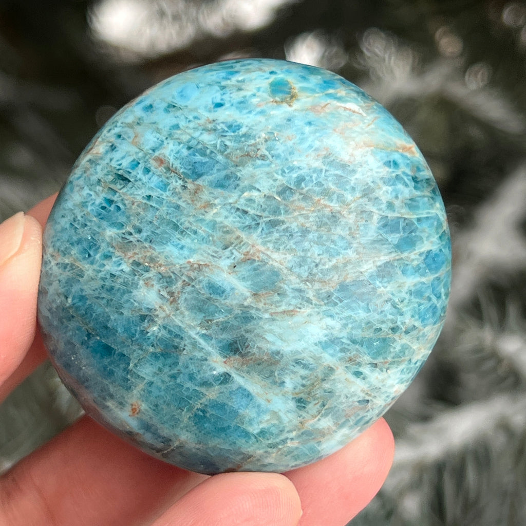 Apatit rulat palmstone model 14, pietre semipretioase - druzy.ro 2 