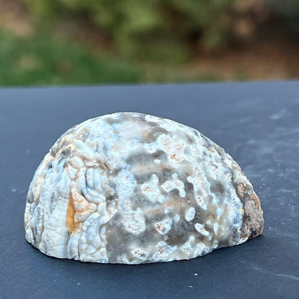 Cluster Agat FEATHER m8, agat cu cuart, druzy.ro, cristale 6