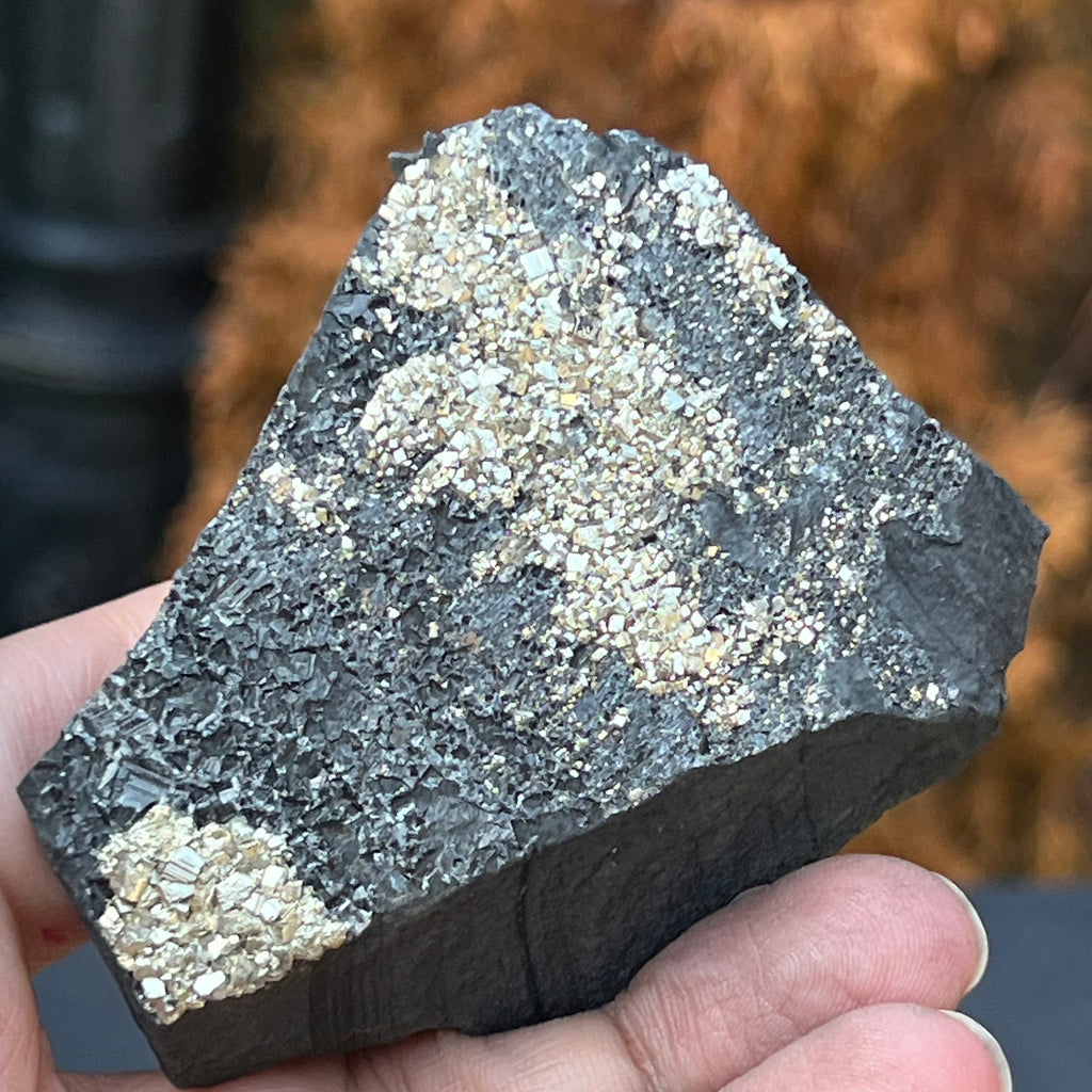 Shungit cu pirita model 8, druzy.ro, cristale 1