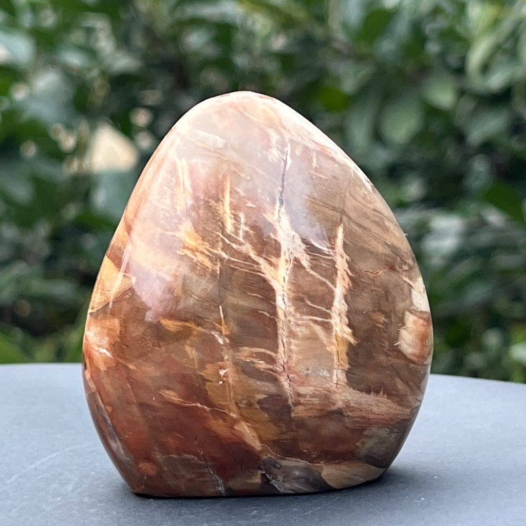 Lemn pietrificat sculpura model 1, pietre semipretioase - druzy.ro 1 